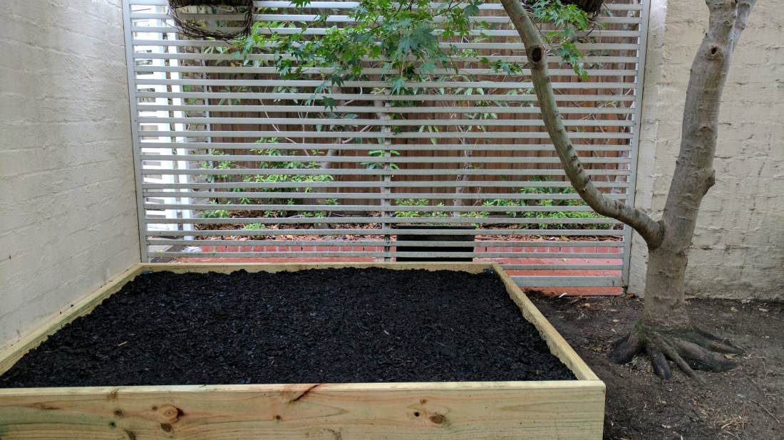 2017-02-05 17.33.29.jpg